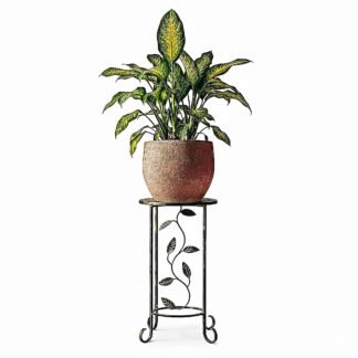 Herralex | La Forja Trepadora | Soporte para plantas de herrería